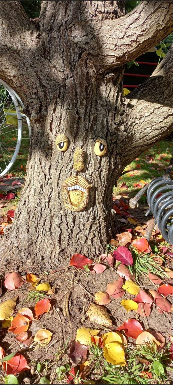 1pc Funny Tree Faces Decor Old Man Tree Face Decoration Yard Art ...